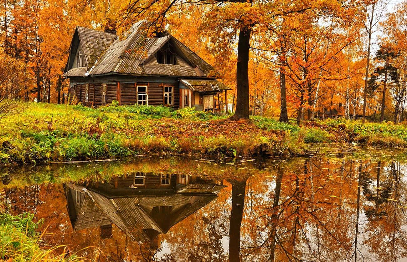 Cabin Autumn By The River