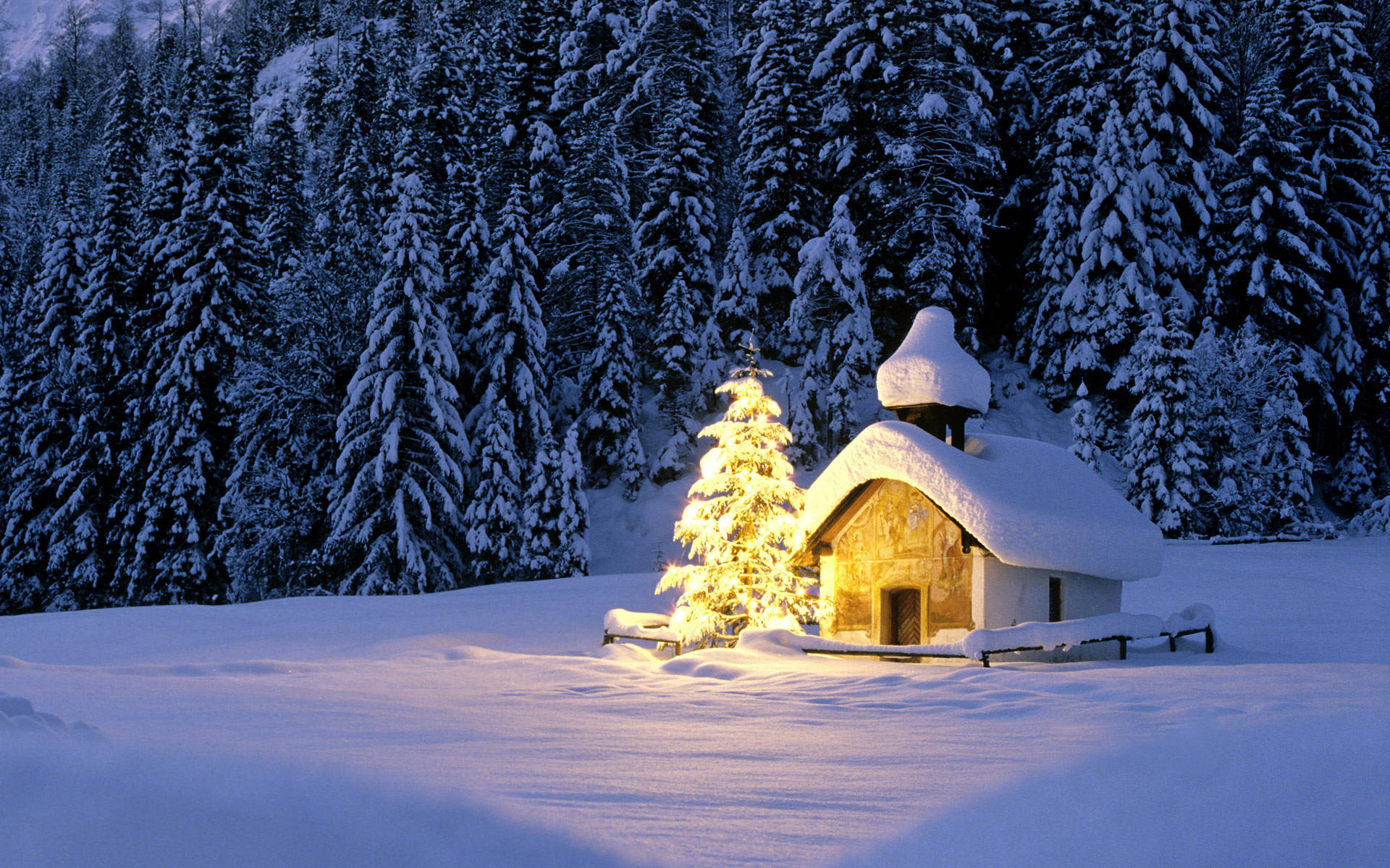 Cabin By A Christmas Forest Background