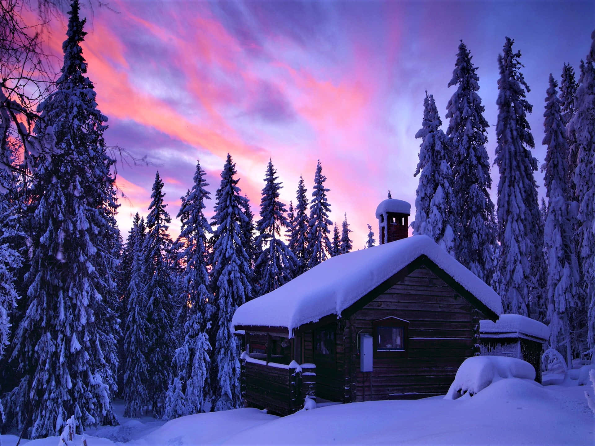 Cabin Snowy Forest