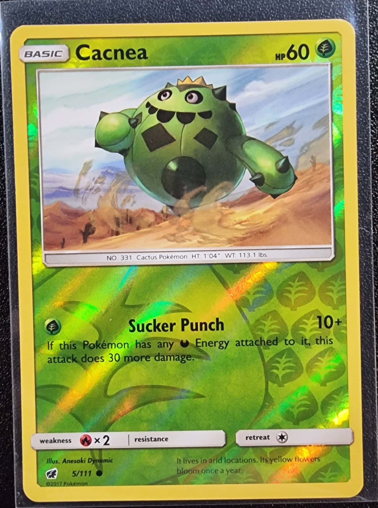 Cacnea Pokemon Card - Collector's Choice Background