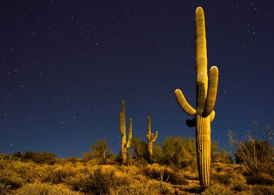 Cactus And Stars Arizona Desert Background