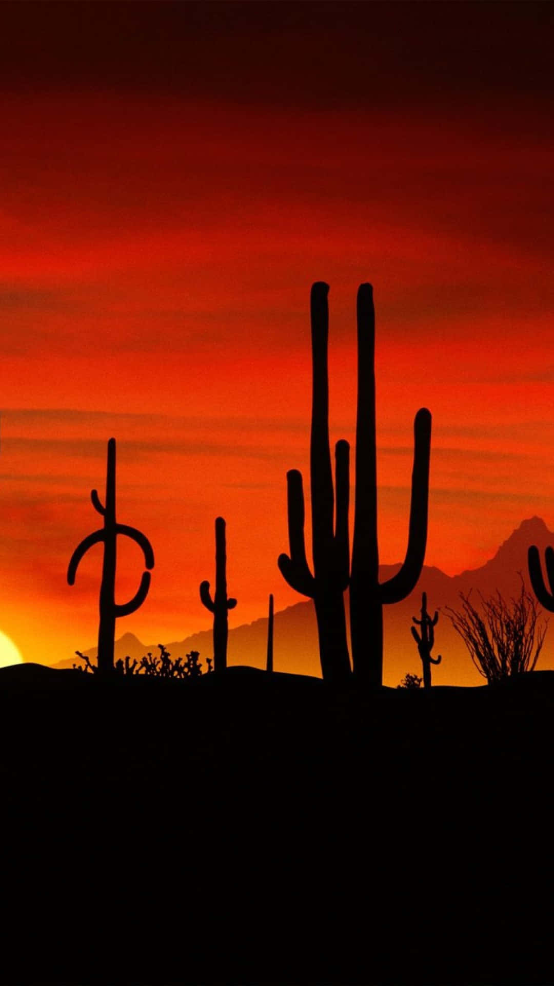 Cactus And Sunset On Desert Iphone Background