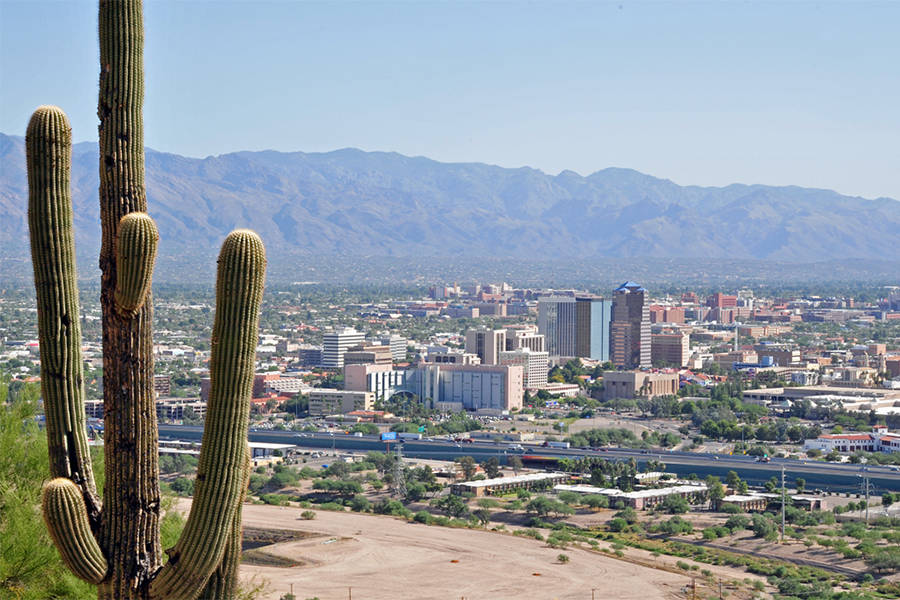 Cactus And The Tucson View Background