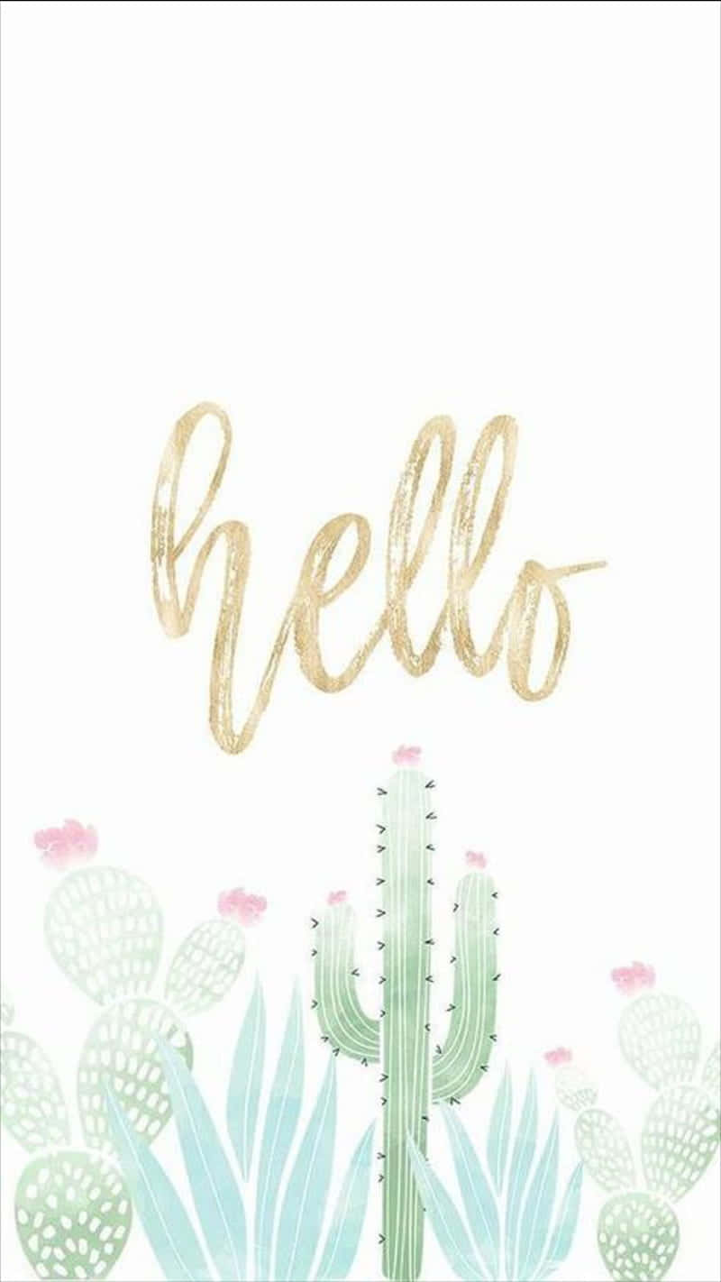 Cactus Cute Plant With Hello Background