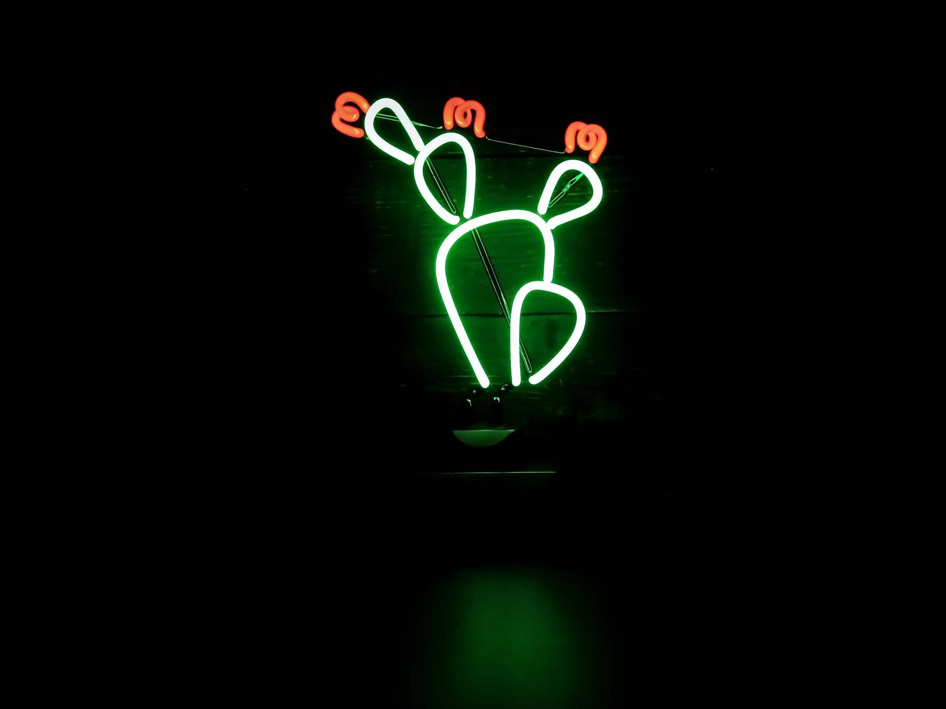 Cactus Flowers Neon Green Aesthetic Background