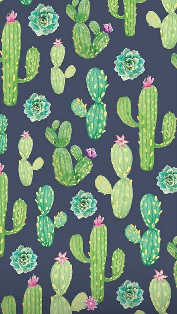 Cactus Iphone Drawing