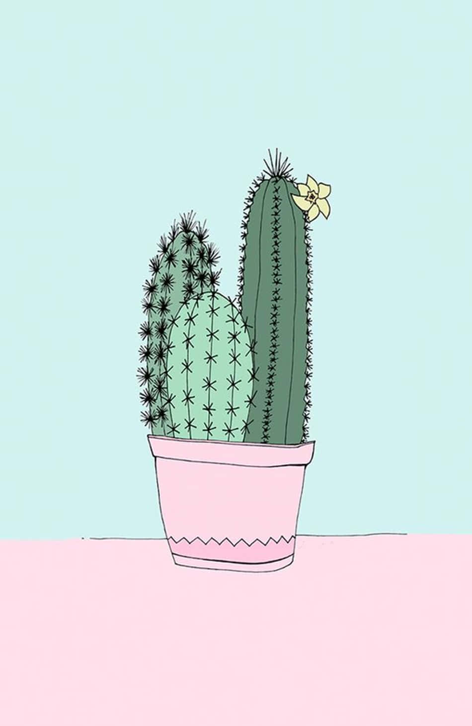 Cactus Iphone Pink Blue Background