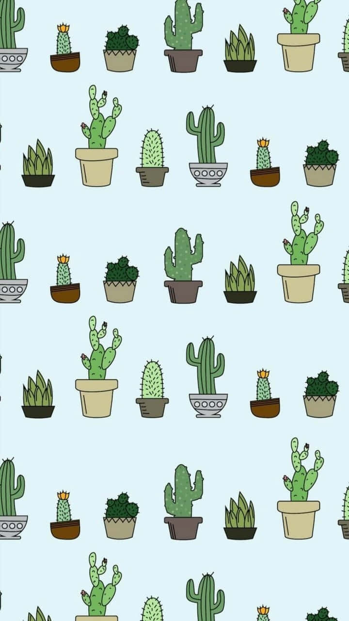 Cactus Pattern With Potted Plants On A Blue Background
