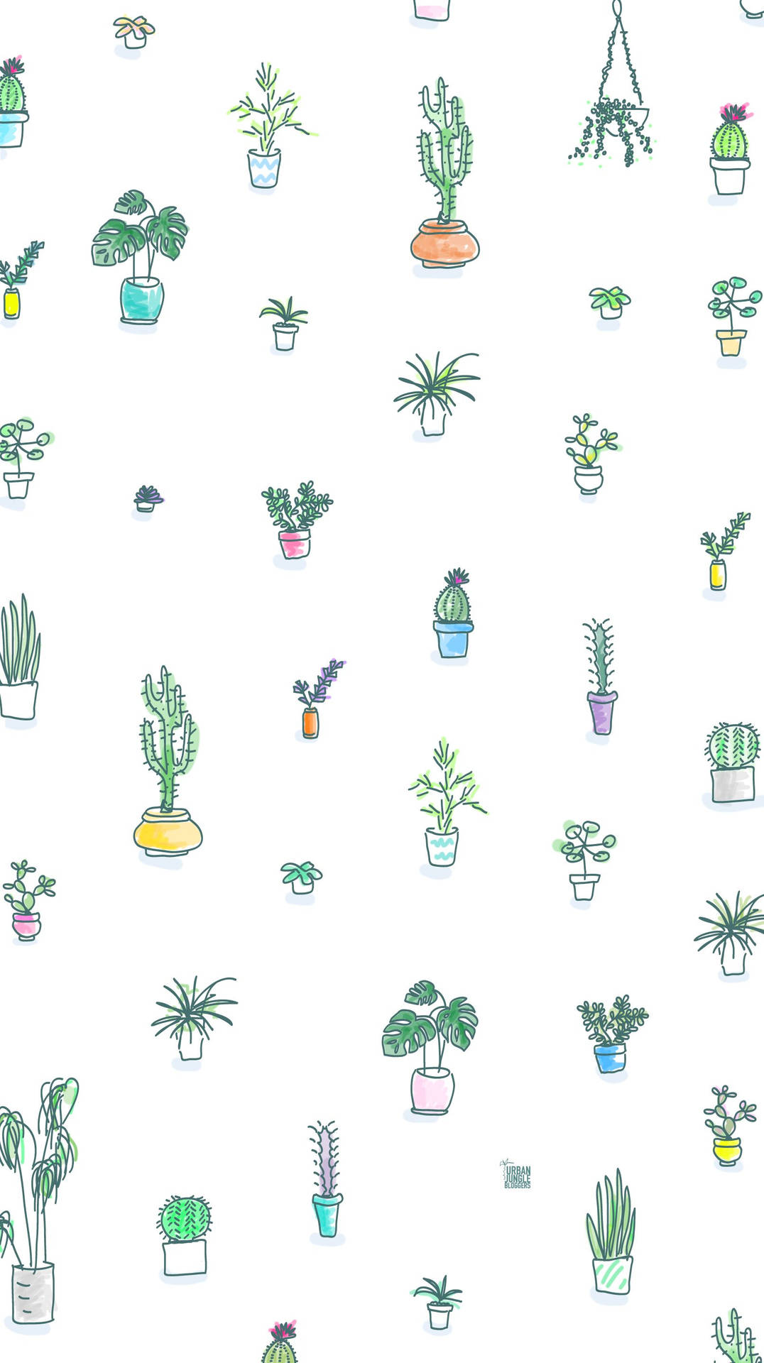 Cactus Plants Cute Iphone Lock Screen Background
