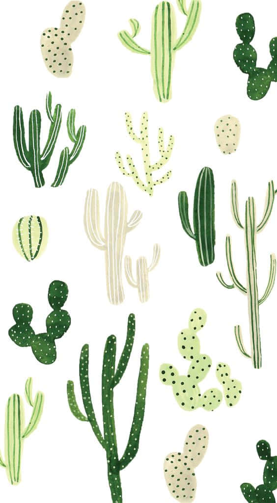 Cactus Plants In Various Colors Background