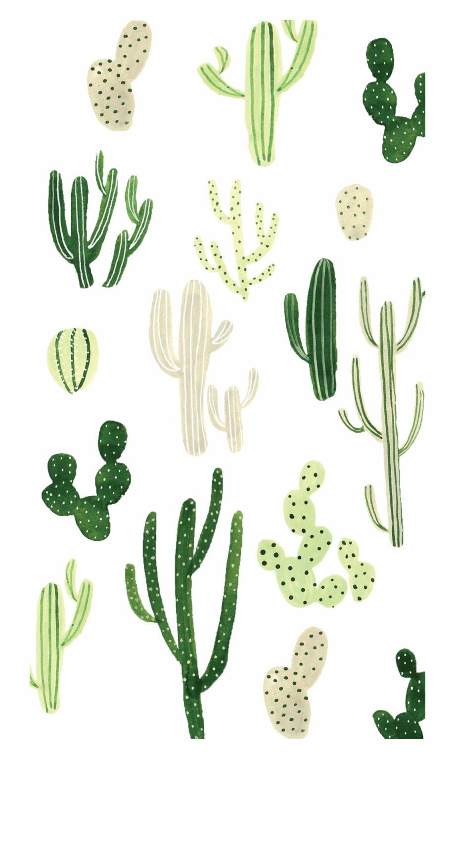 Cactus Print - Cactus Print