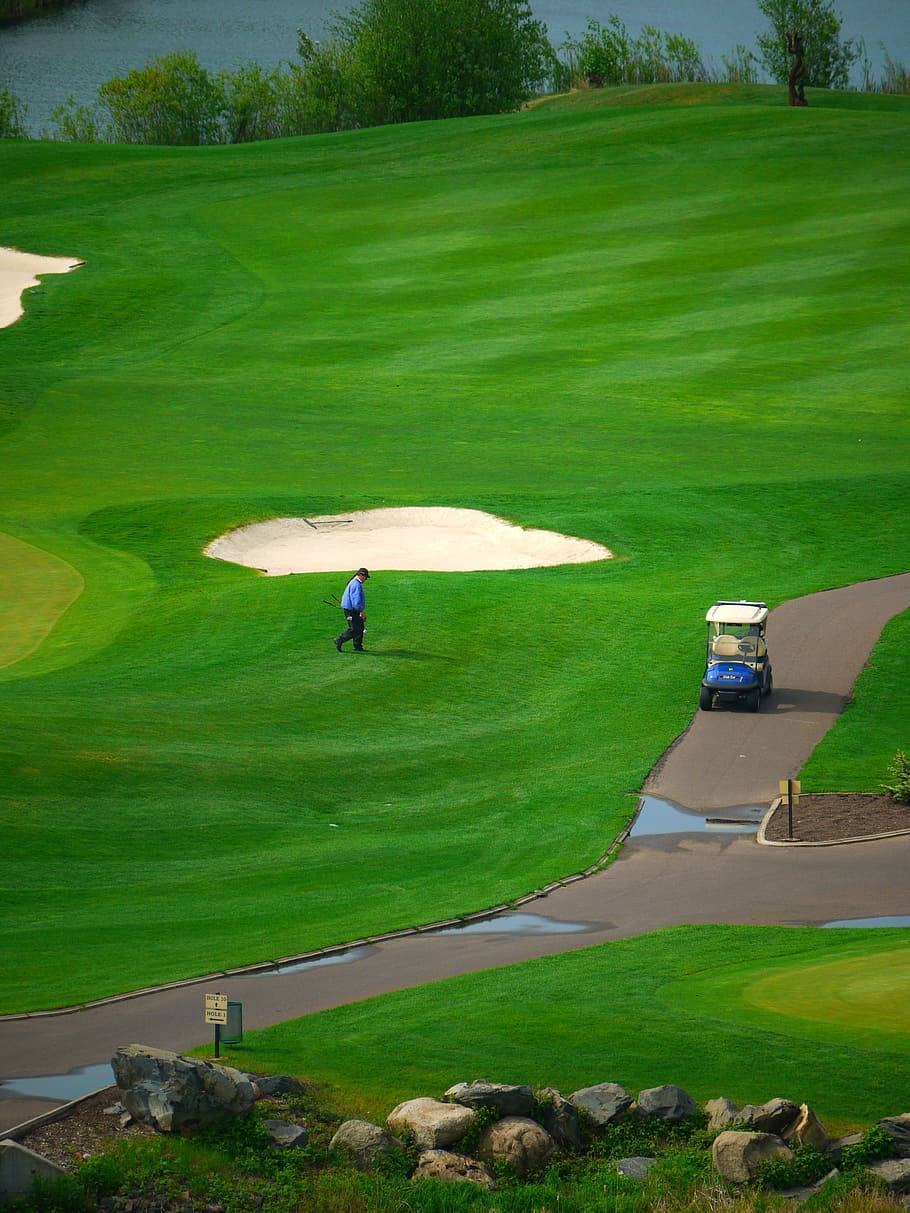 Caddie Using Golf Phone On Green Field Background