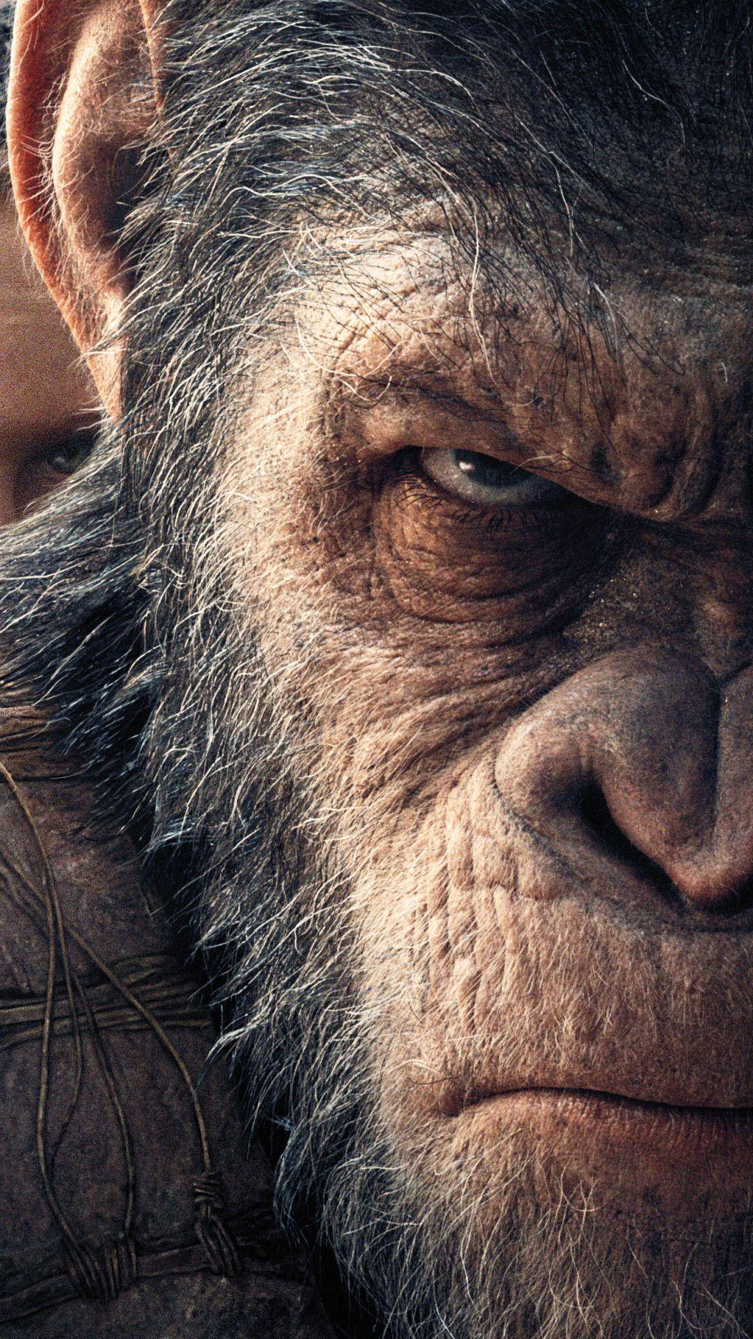 Caesar Close Up Planet Of The Apes Background