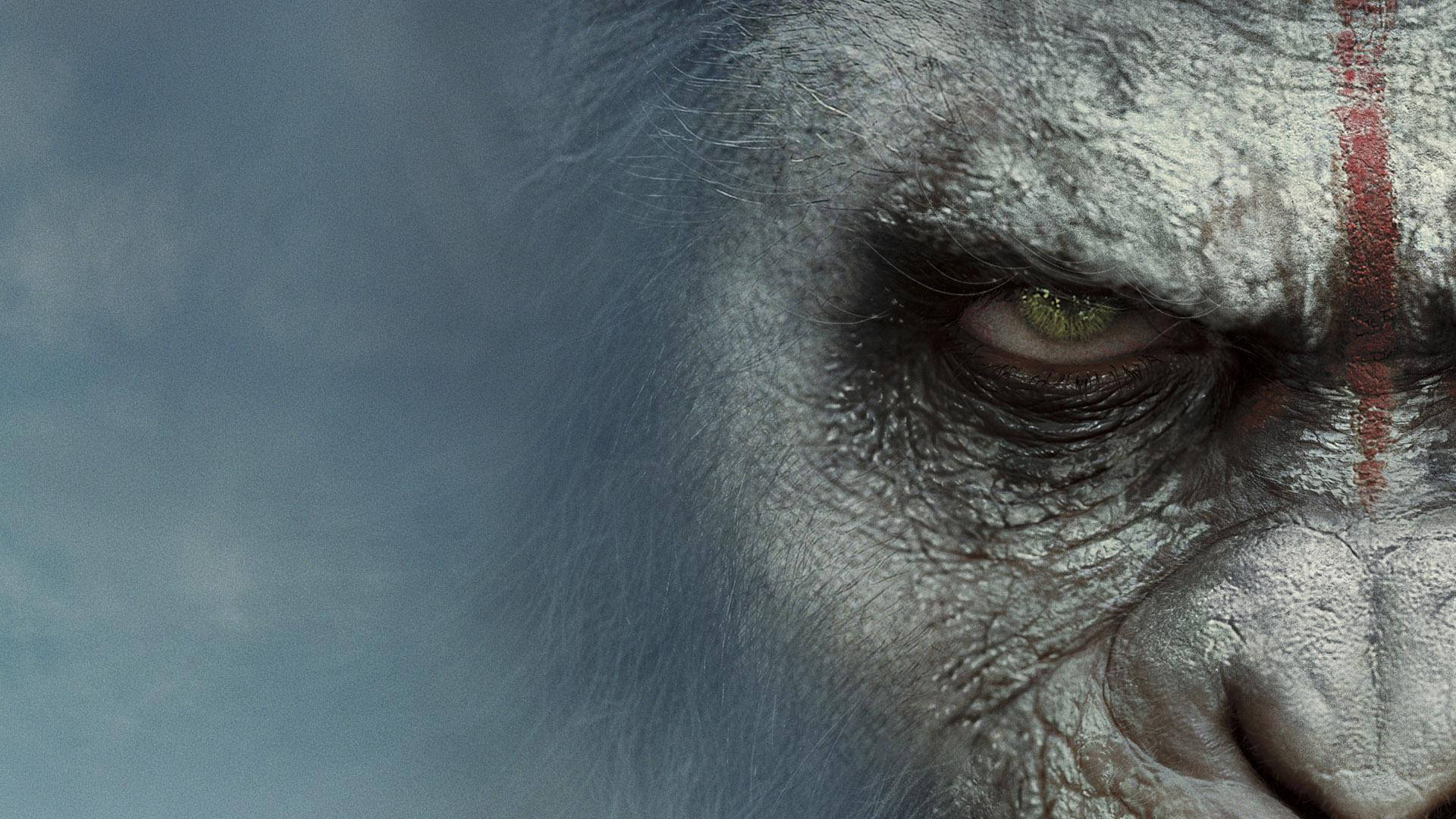 Caesar In War Of The Planet Of The Apes Background