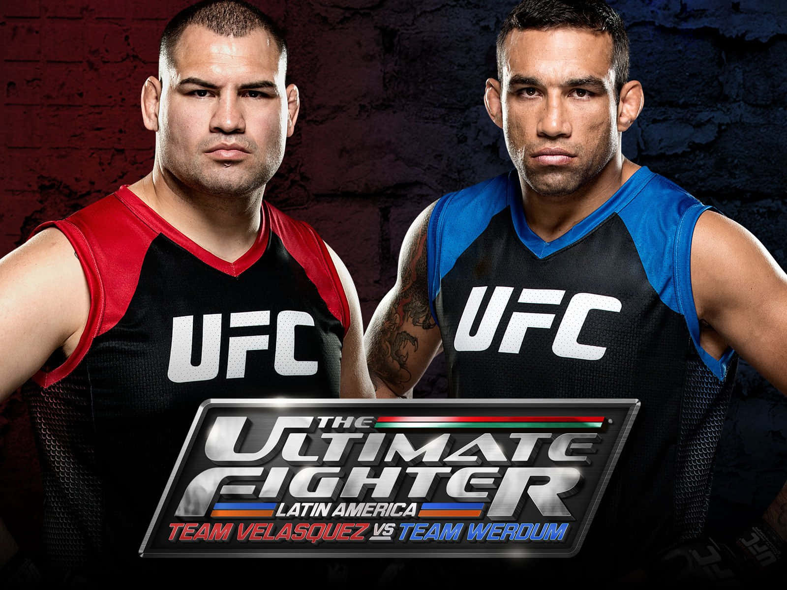 Cain Velasquez And Fabricio Werdum Poster