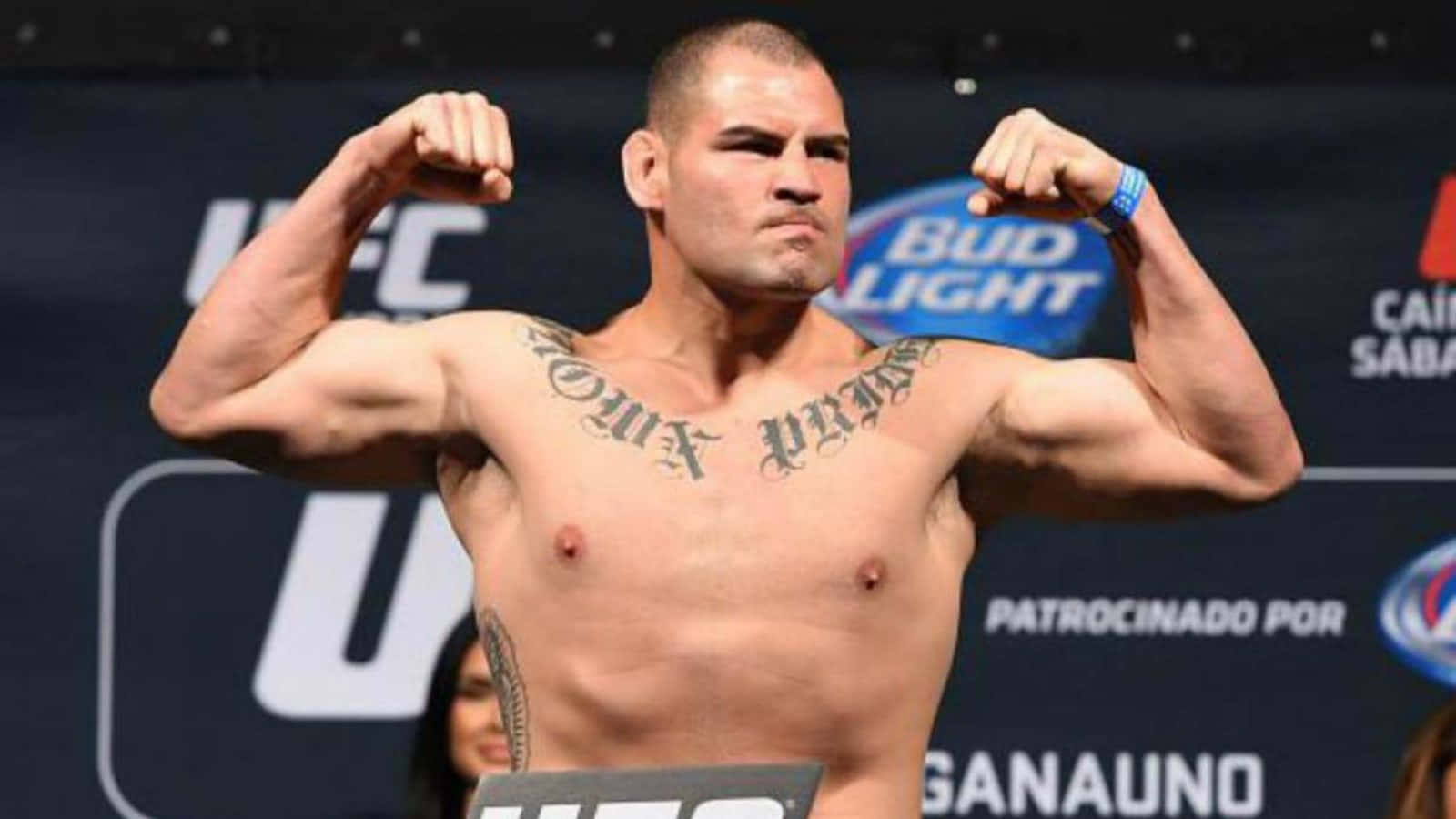 Cain Velasquez Ufc Event 2015 Background