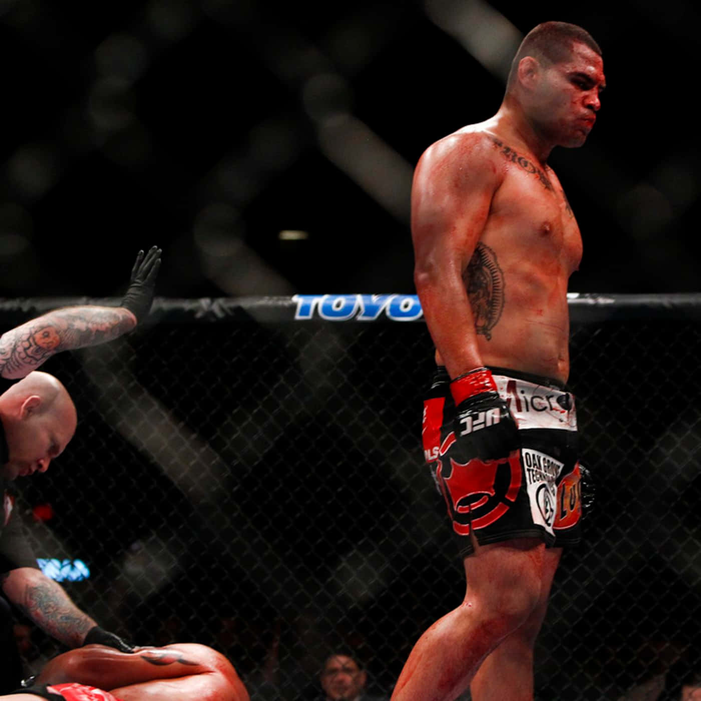 Cain Velasquez Versus Antonio Silva Background