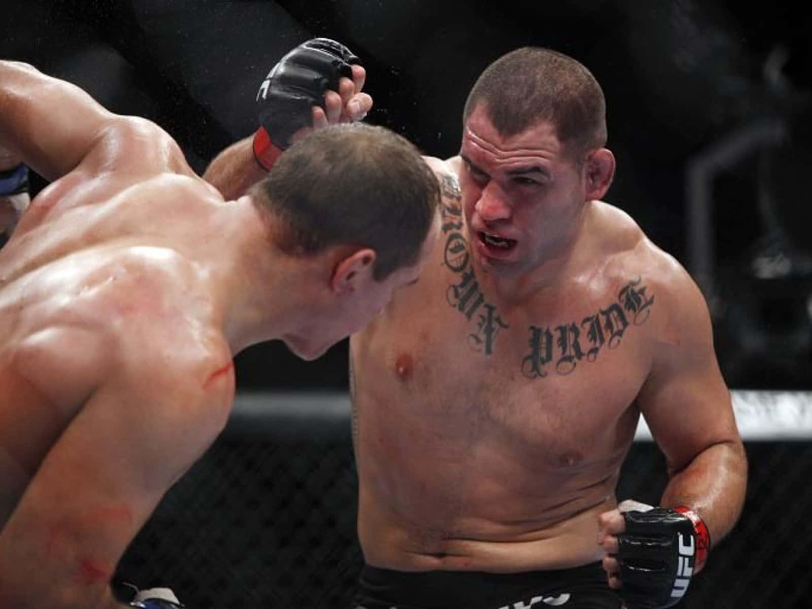 Cain Velasquez Versus Dos Santos Iii Background