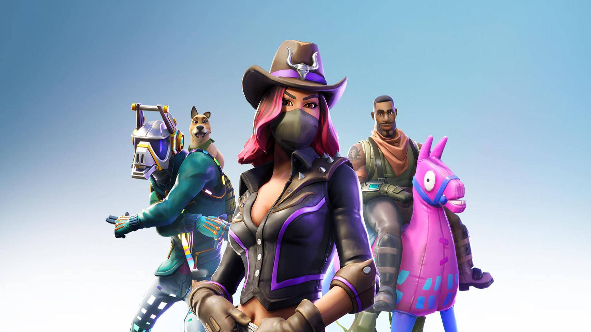 Calamity Fortnite And Other Skins Background