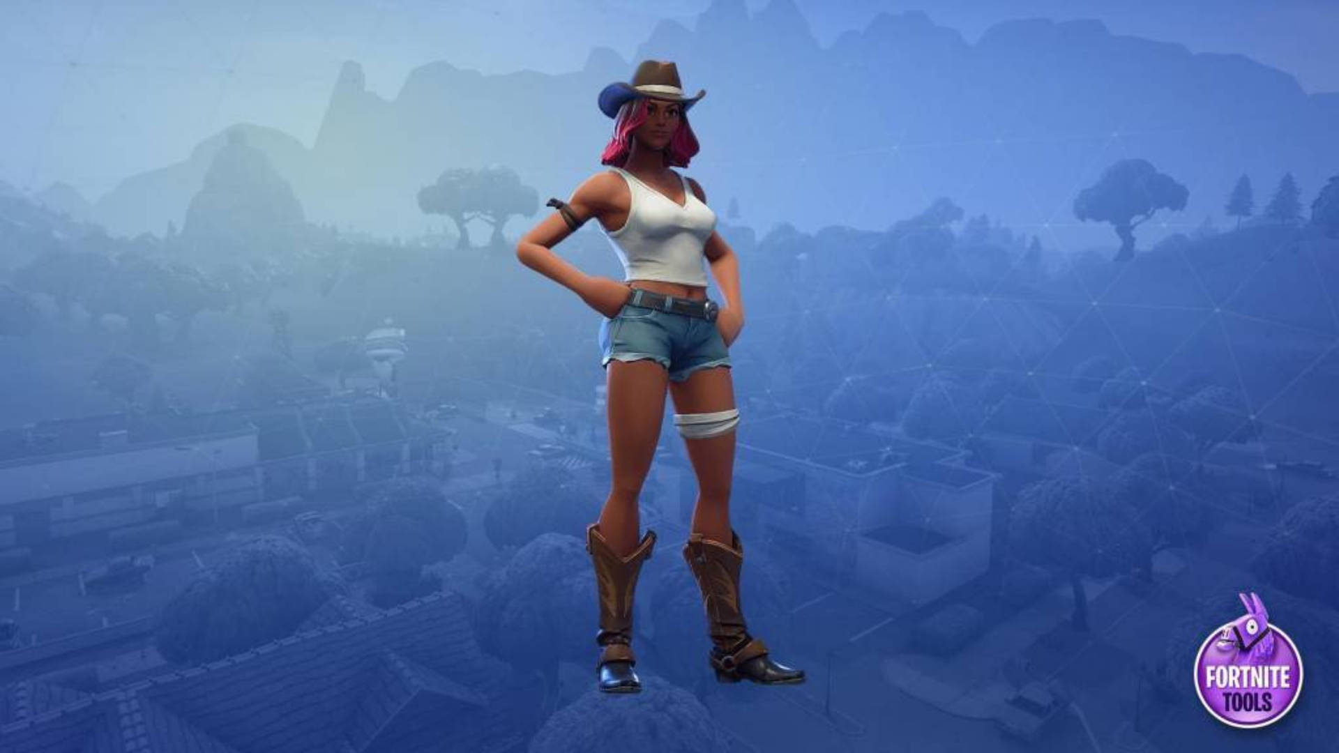 Calamity Fortnite Base Outfit Background