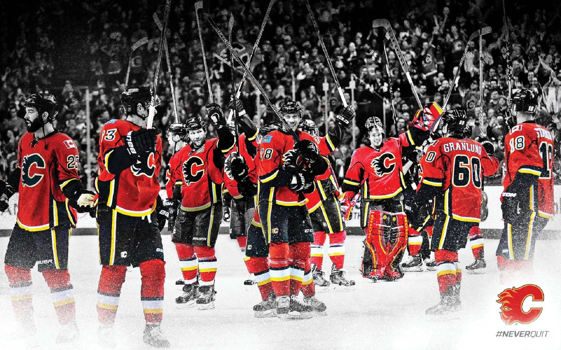 Calgary Flames Ice Hockey Team Background