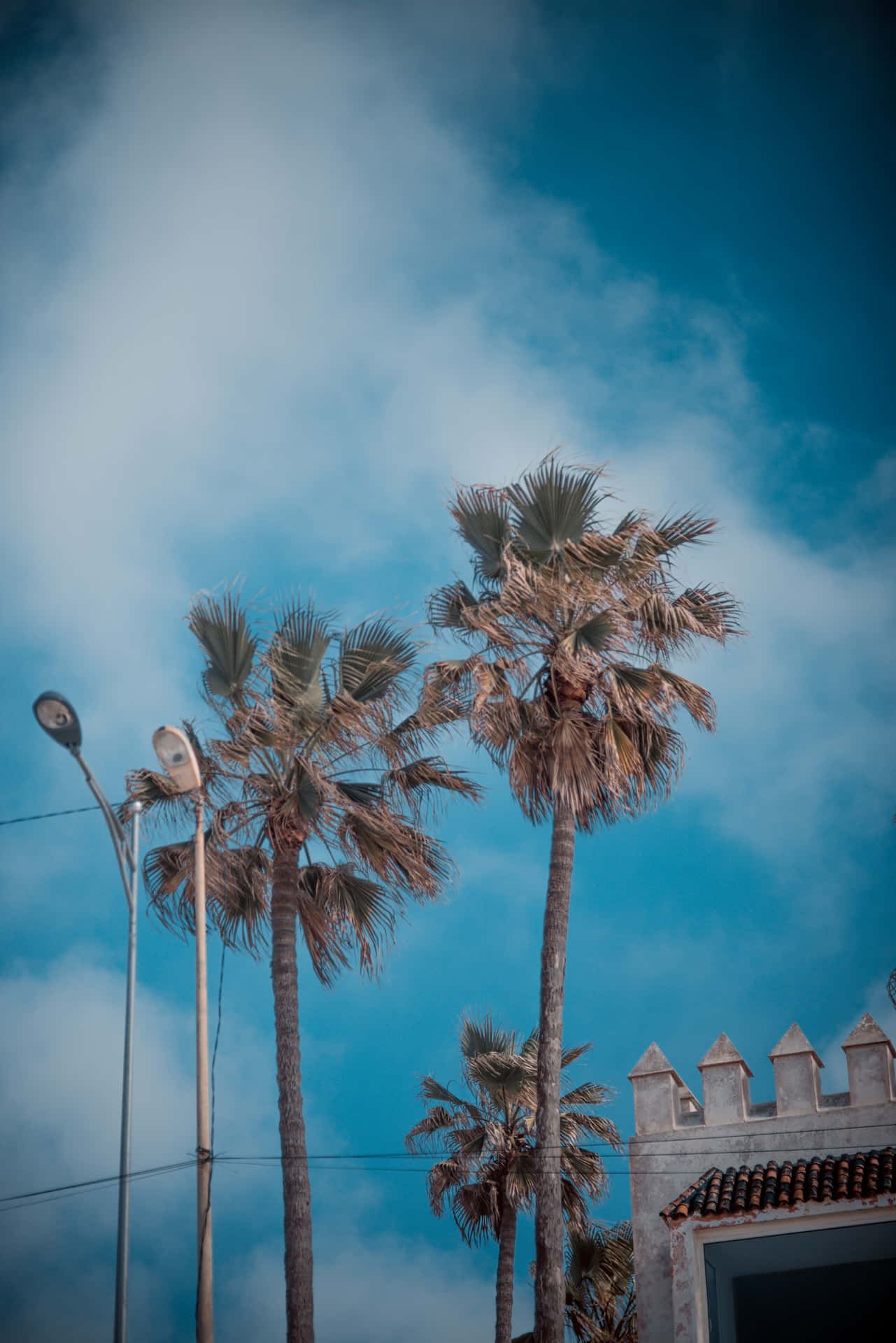 California Aesthetic Blue Sky Background