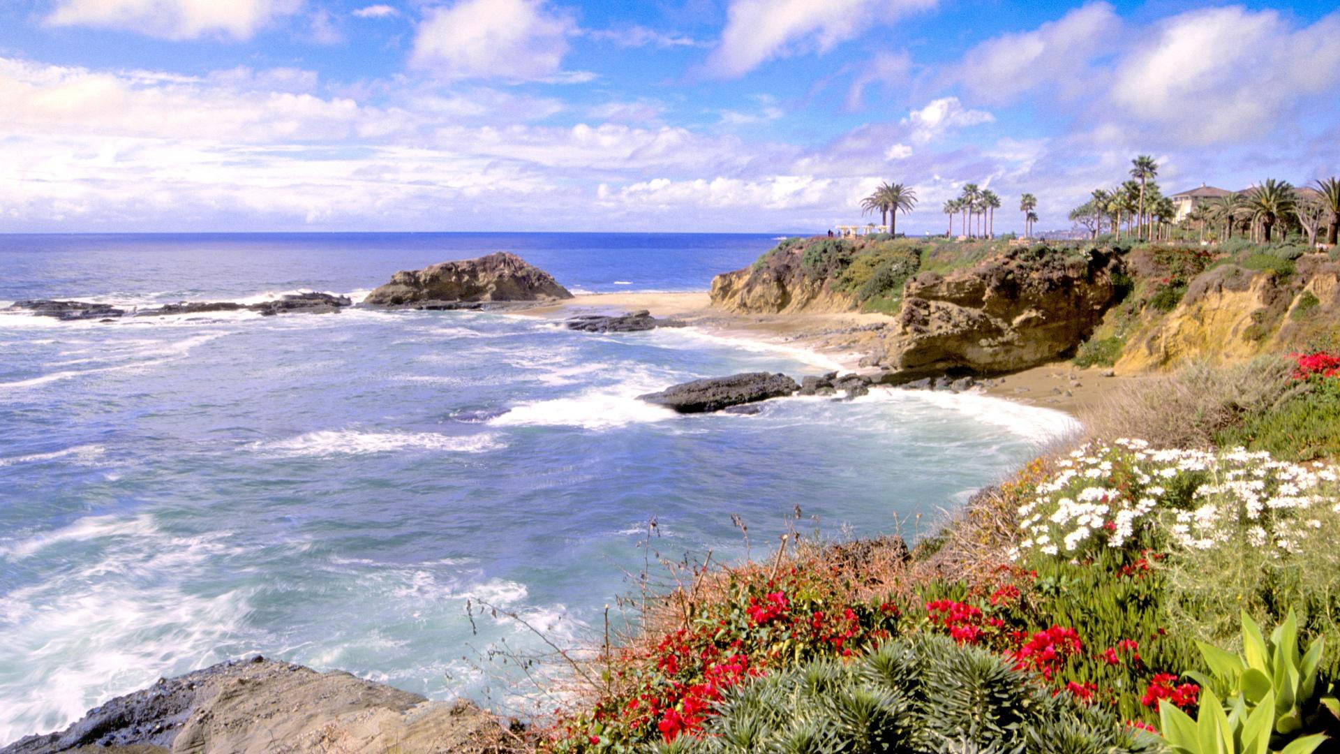 California Beach Tourist Spot Background
