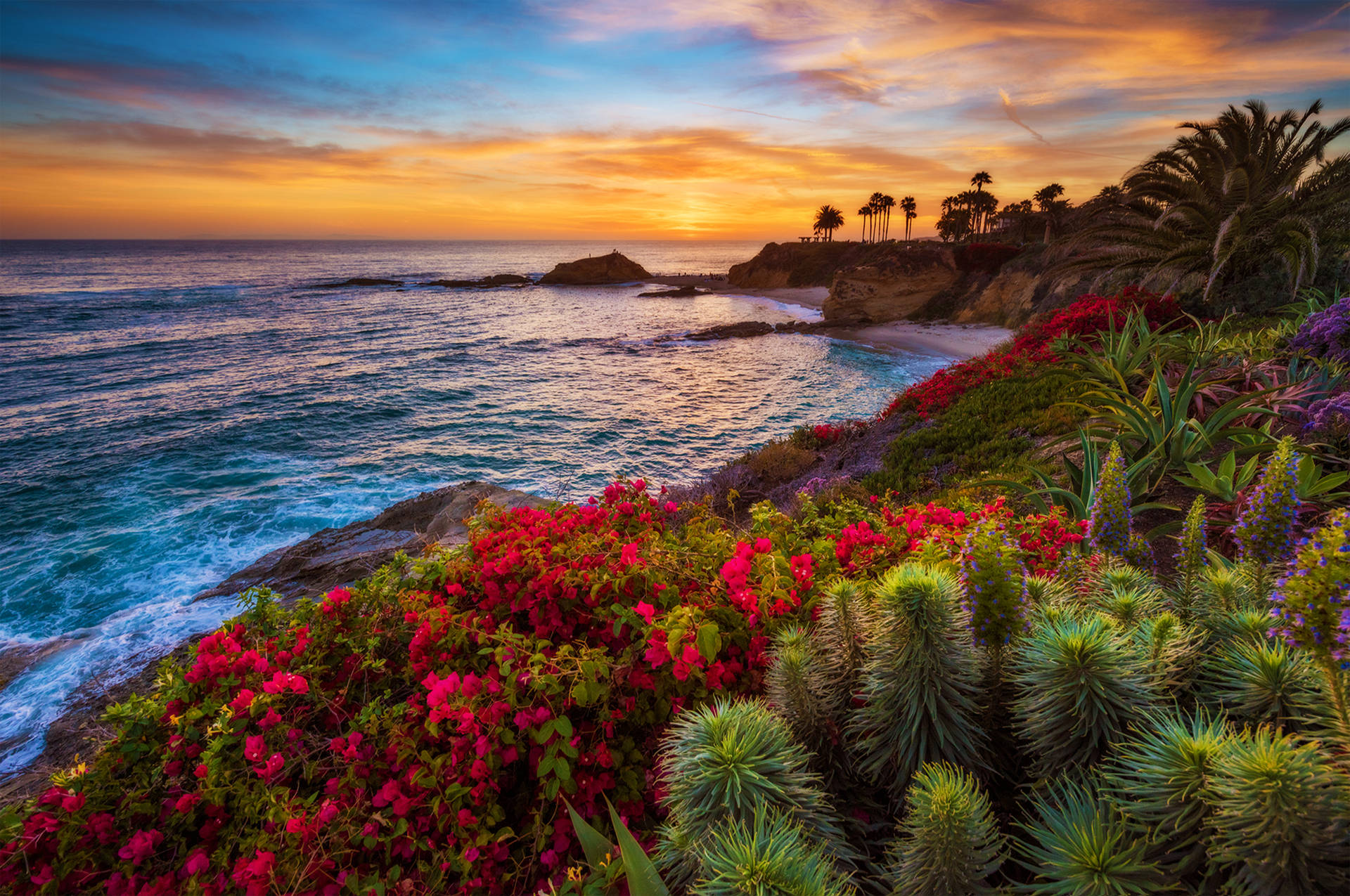 California Ocean View Background