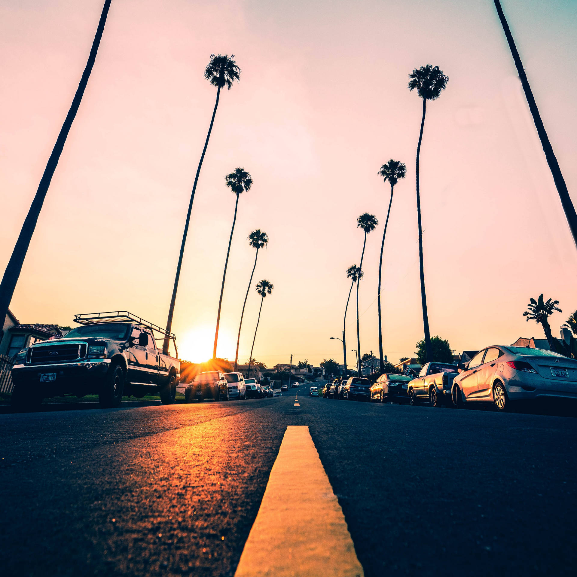 California Road With Palm Trees Background