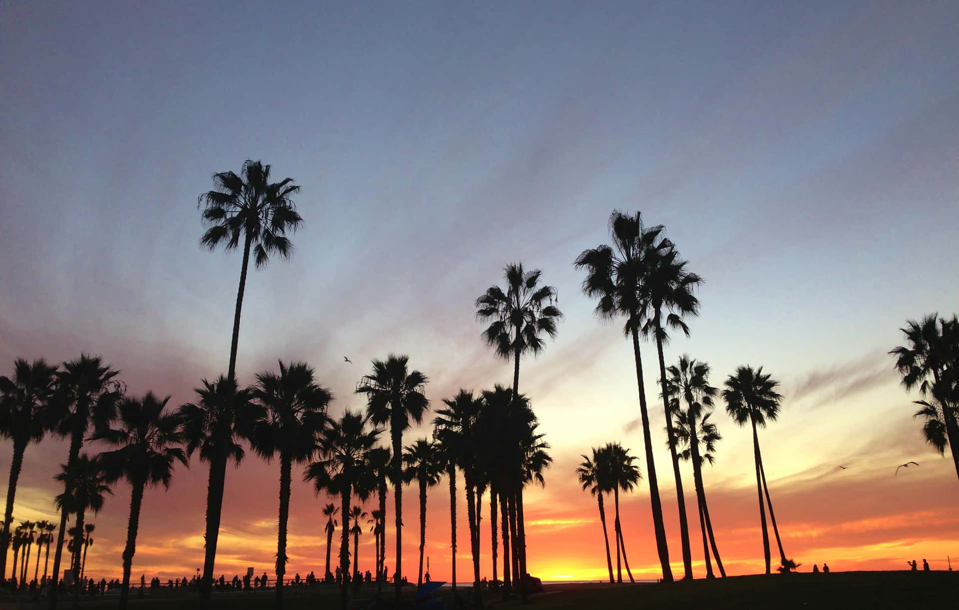 California Summer, The Best Vacation Ever Background