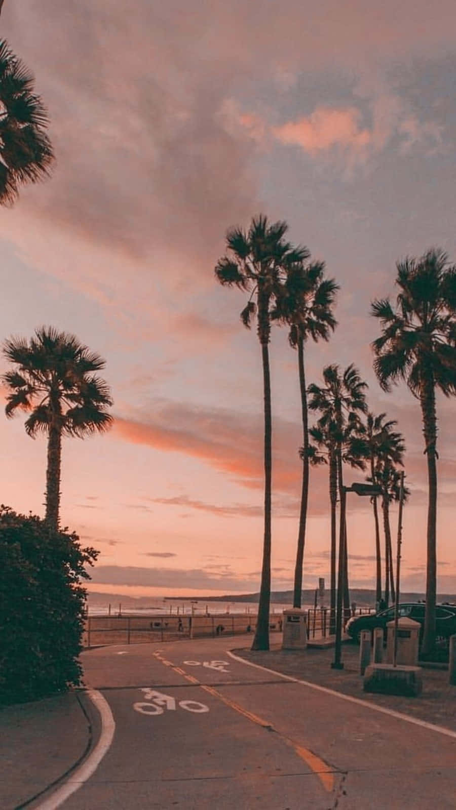 California Tall Palm Trees Iphone Background