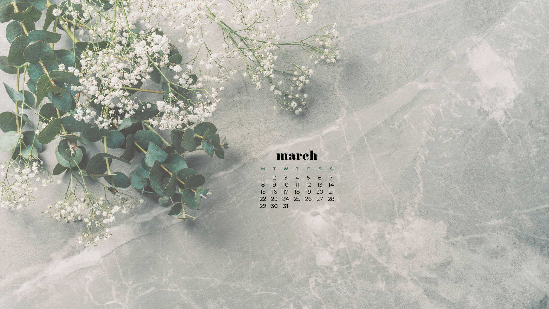 Calm Aesthetic March Calendar Background