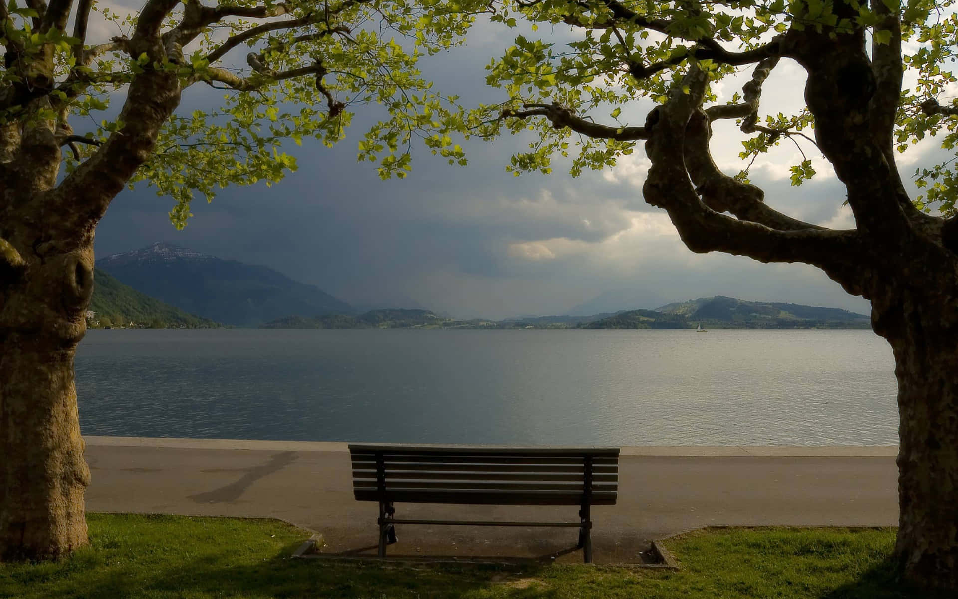 Calming Desktop 2560 X 1600 Background