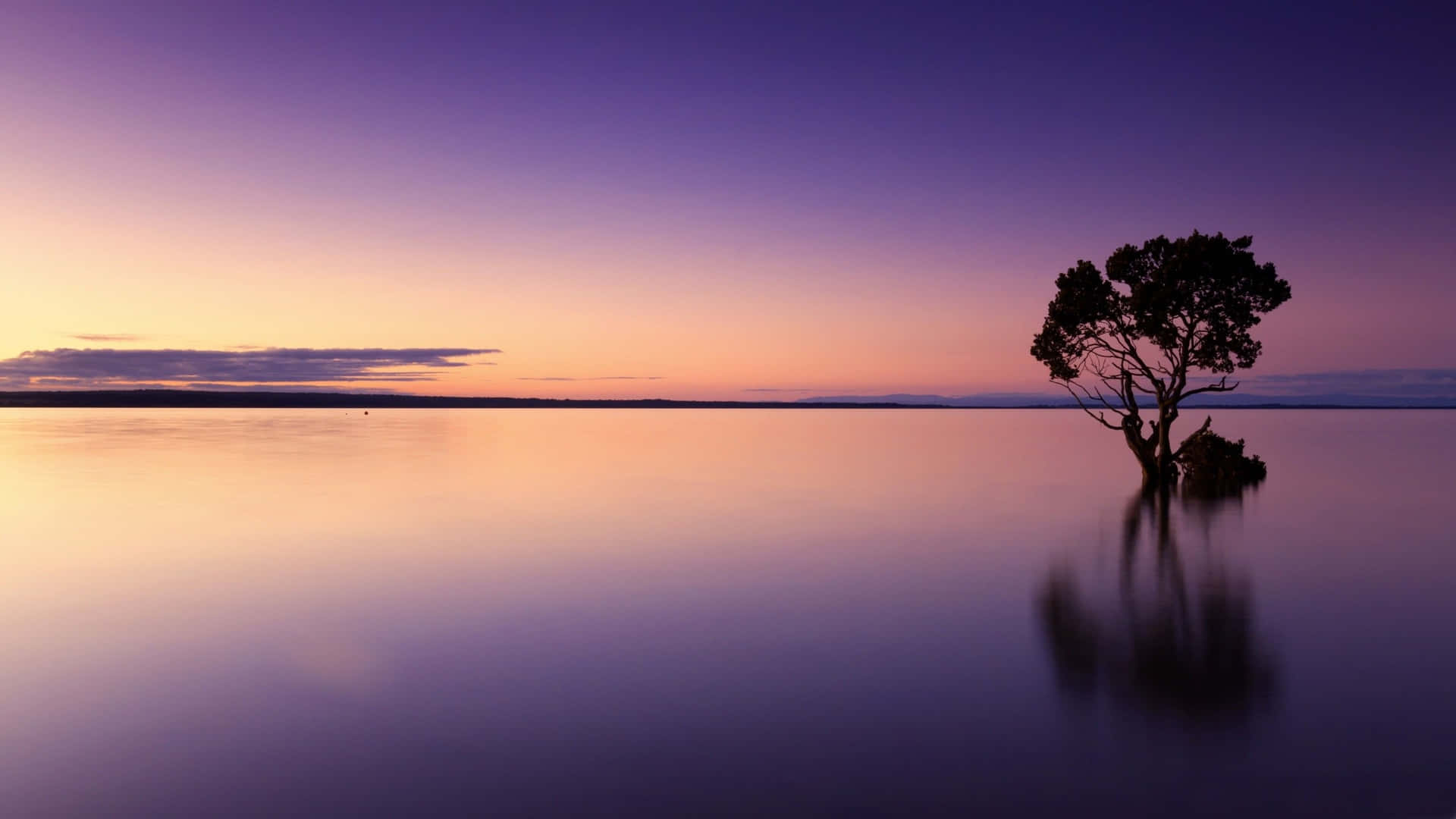 Calming Desktop 2880 X 1620 Background