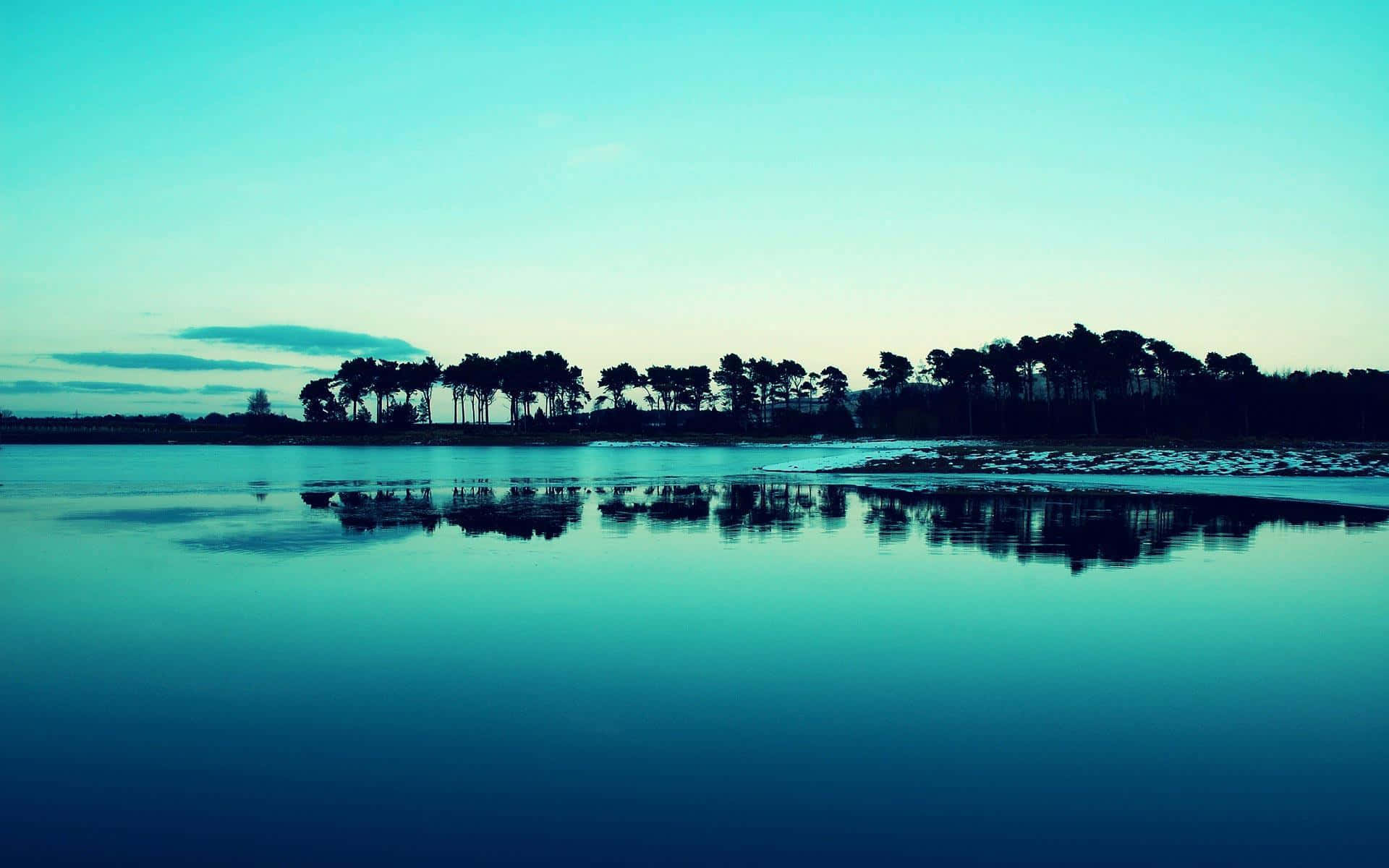 Calming Desktop Coconut Trees Reflection Background