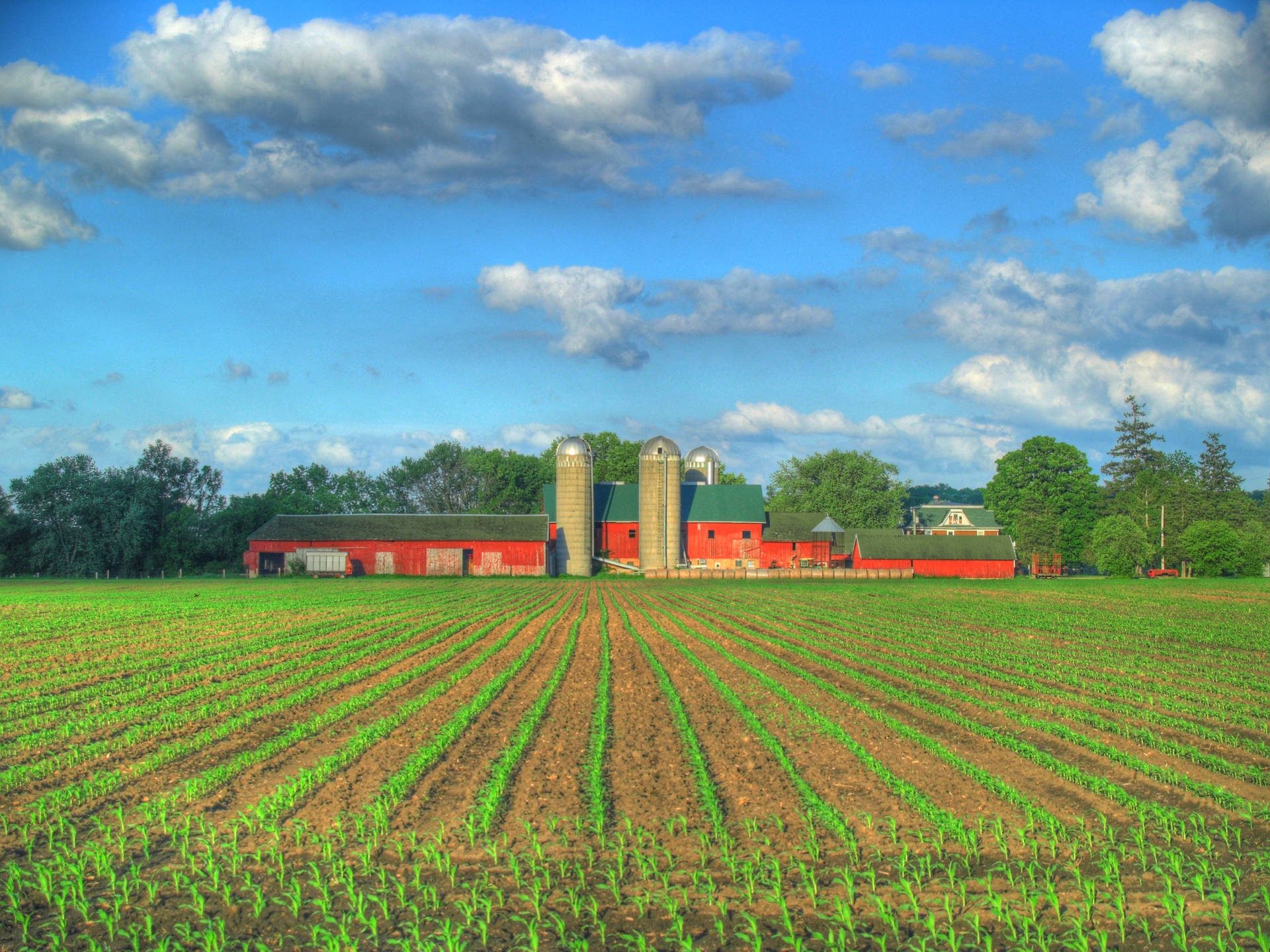 Calming Farm Desktop Background