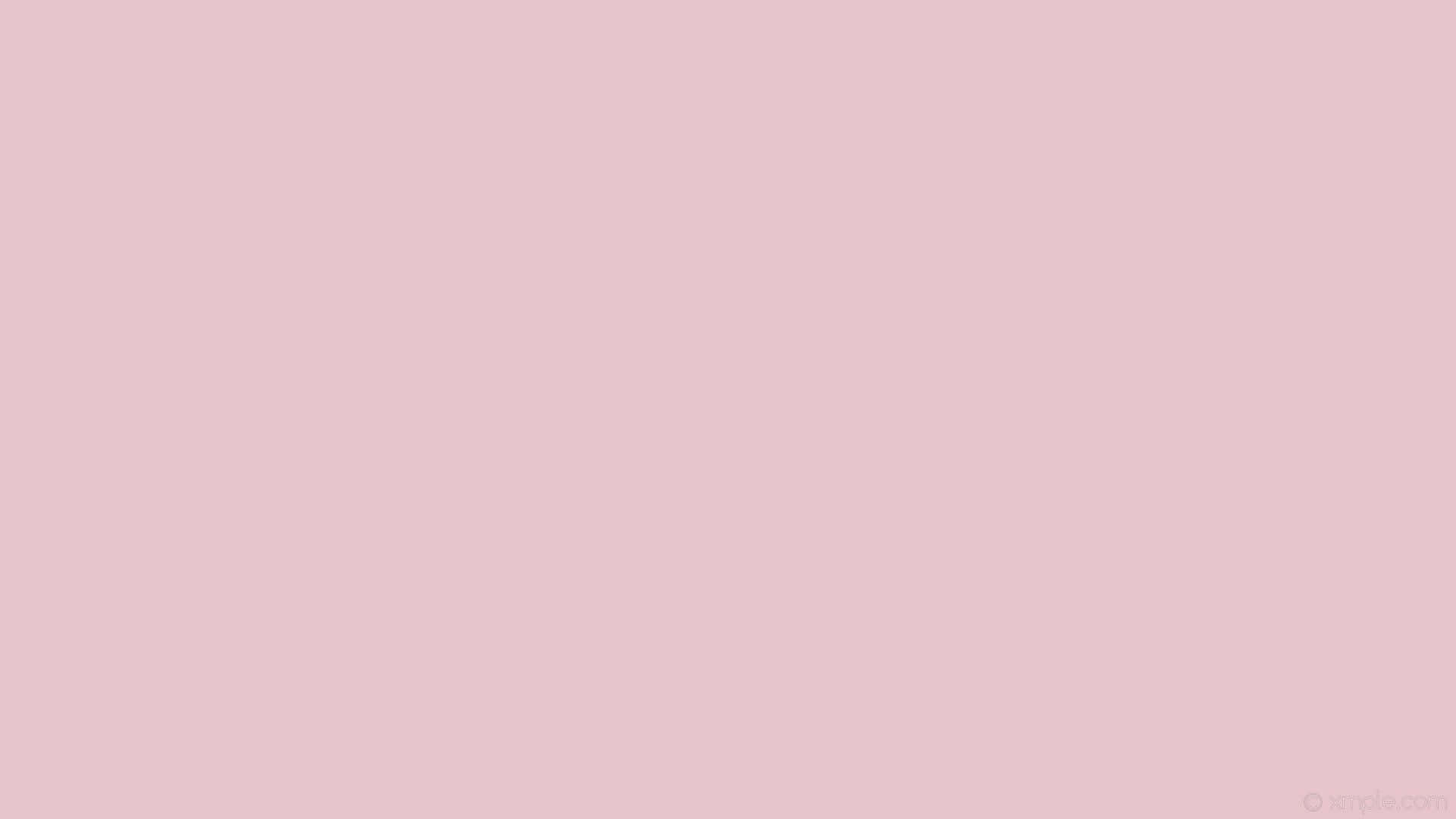 Calming Pink Solid Color Wallpaper