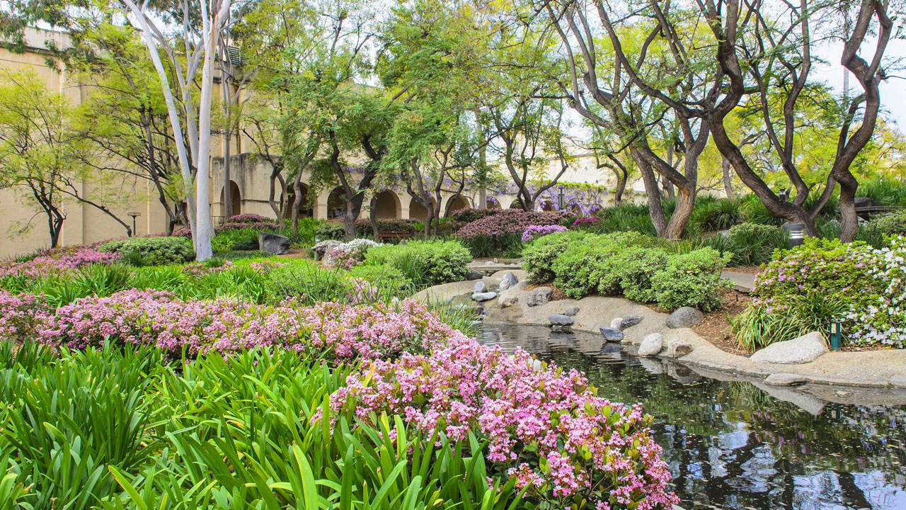 Caltech Garden And Pond