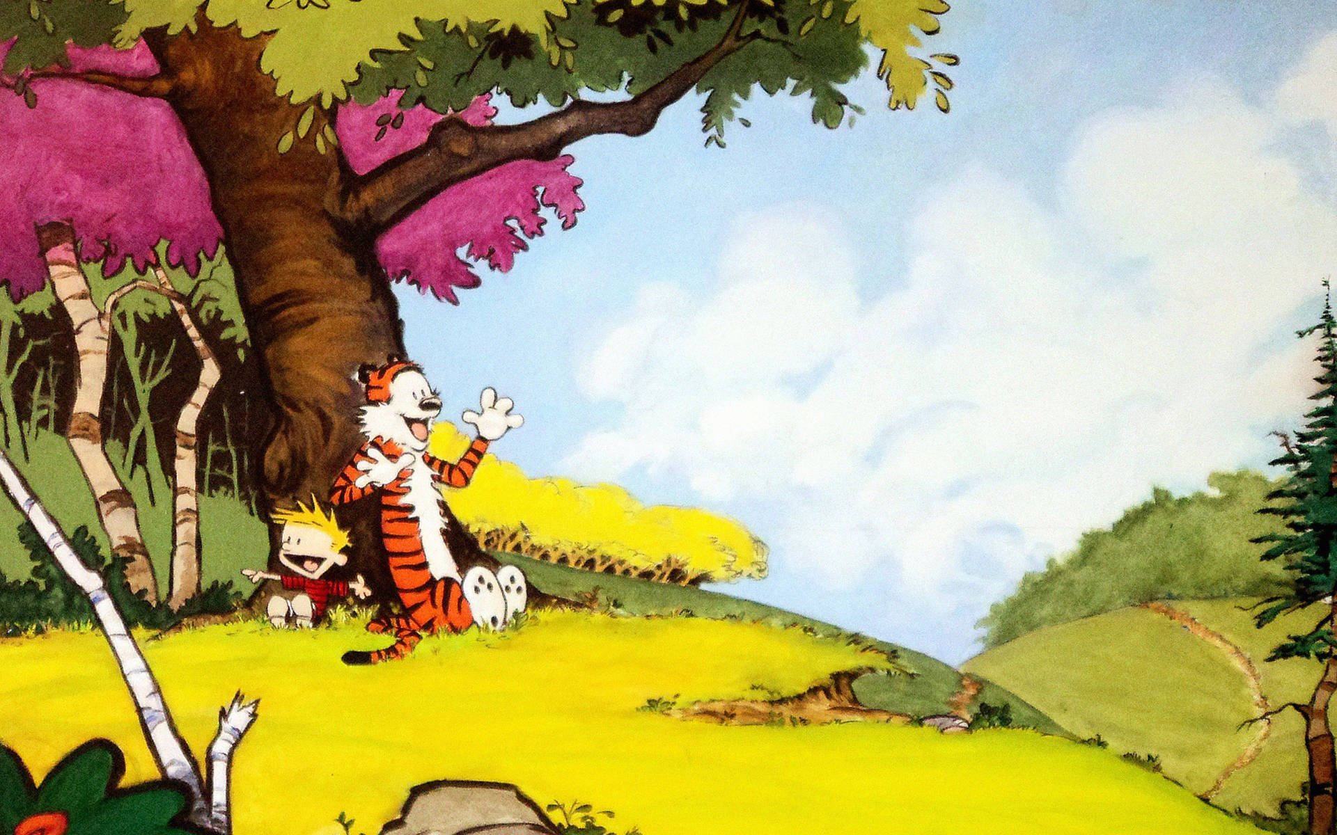 Calvin And Hobbes At The Hill Background
