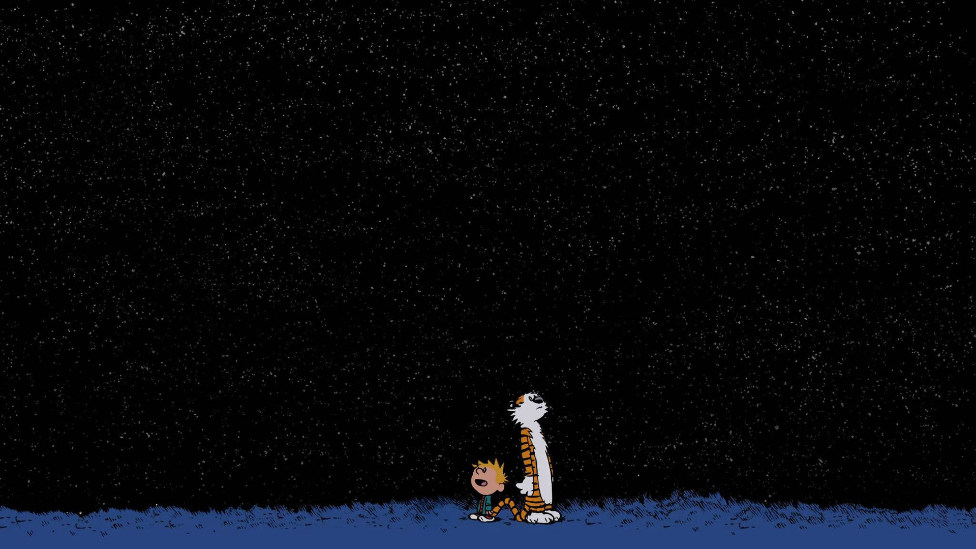 Calvin And Hobbes Gazing The Stars Background
