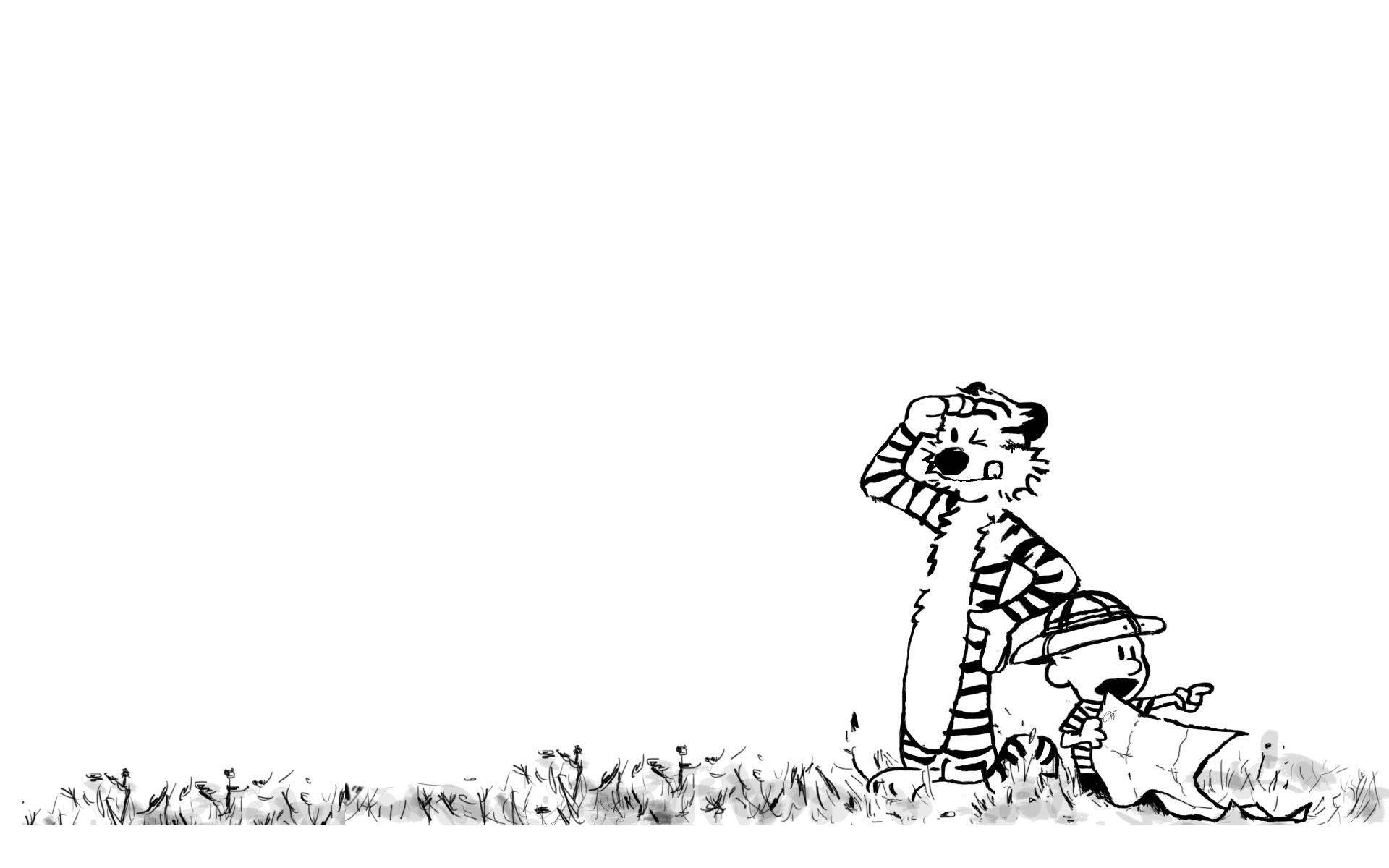 Calvin And Hobbes In White Background