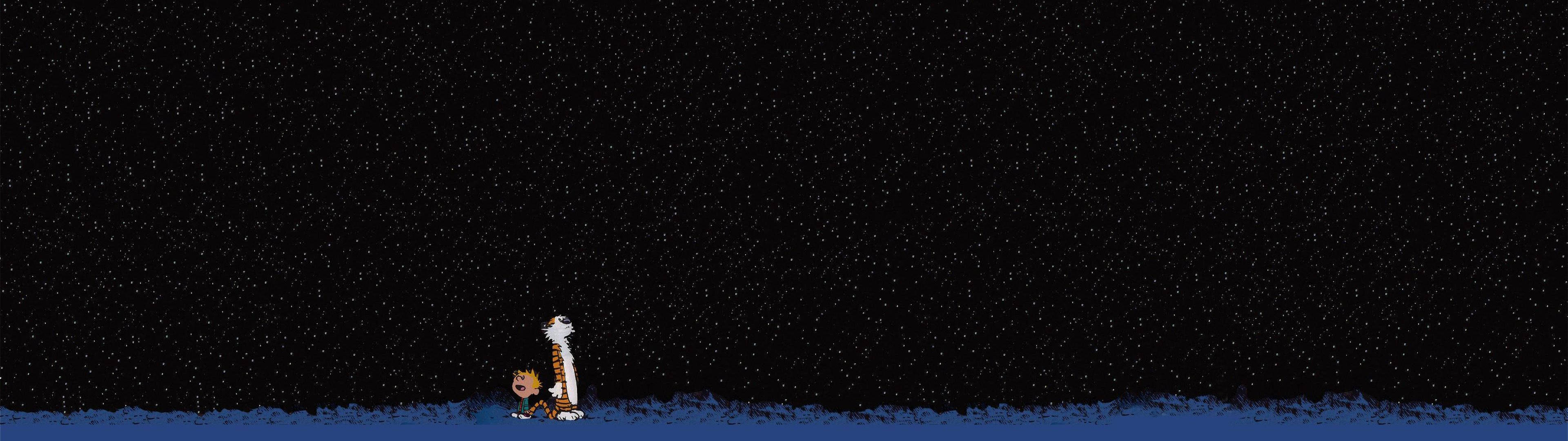 Calvin And Hobbes Million Stars Background
