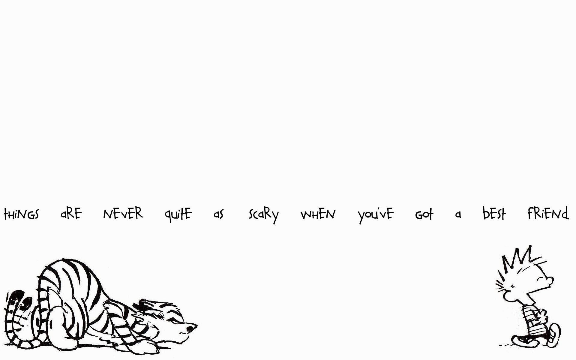 Calvin And Hobbes On White Screen Background