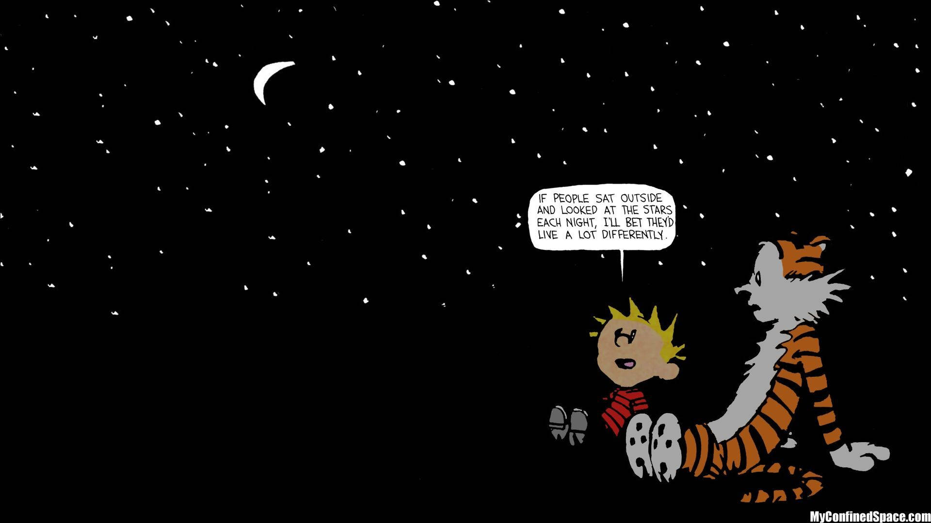 Calvin And Hobbes Under The Moon And Stars Background
