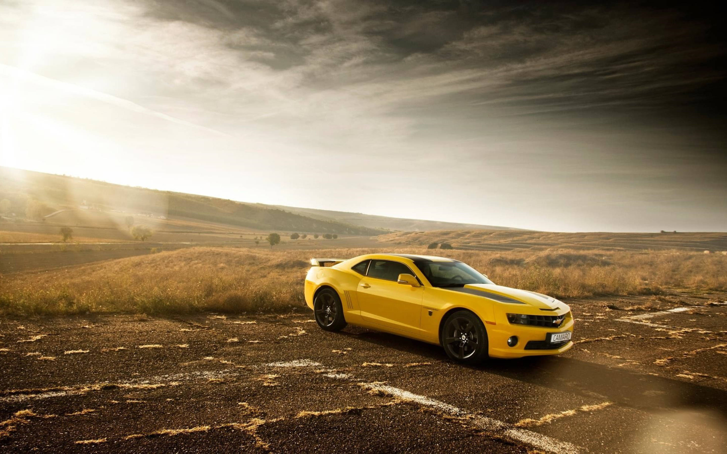 Camaro Muscle Cars Desert Feature