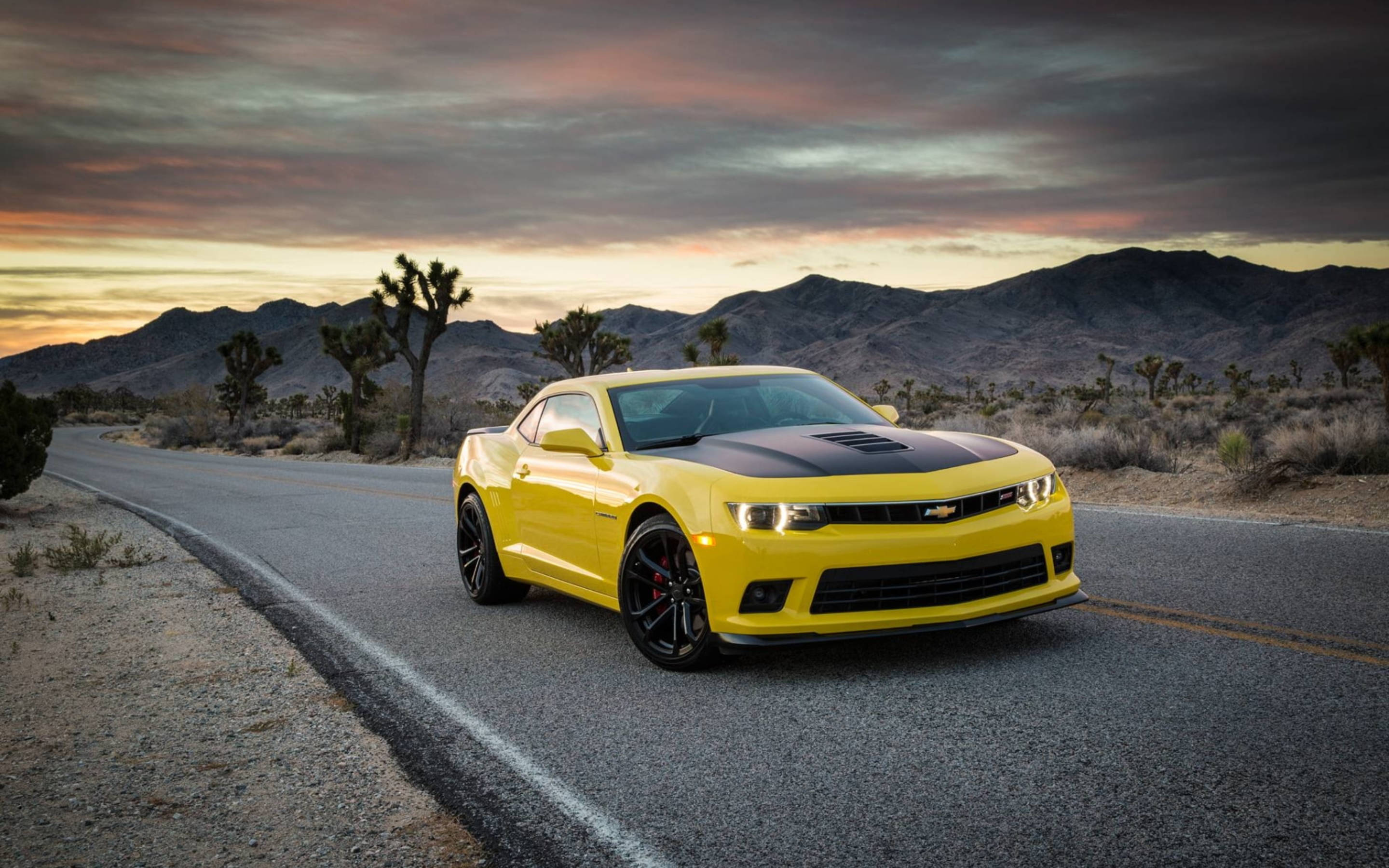 Camaro Muscle Cars Feature Photo Background