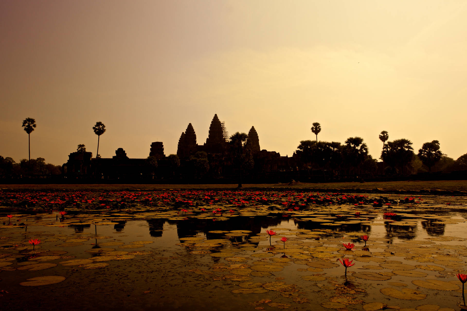 Cambodia Angkor Wat Background