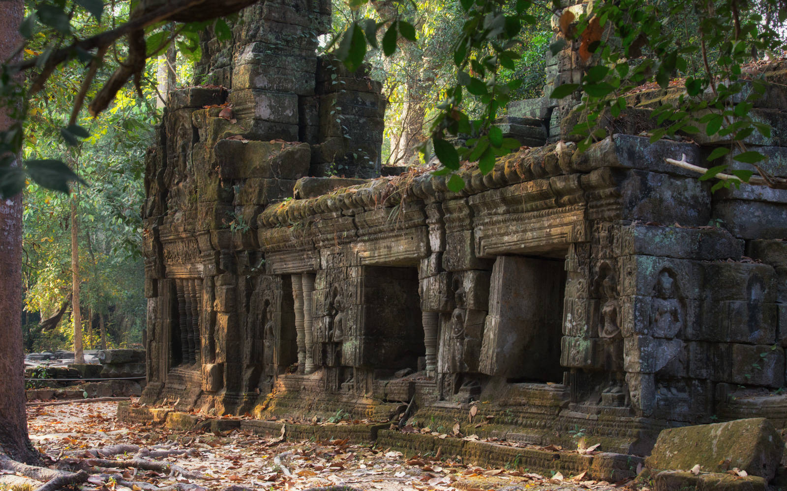 Cambodia Ta Prohm Temple Background
