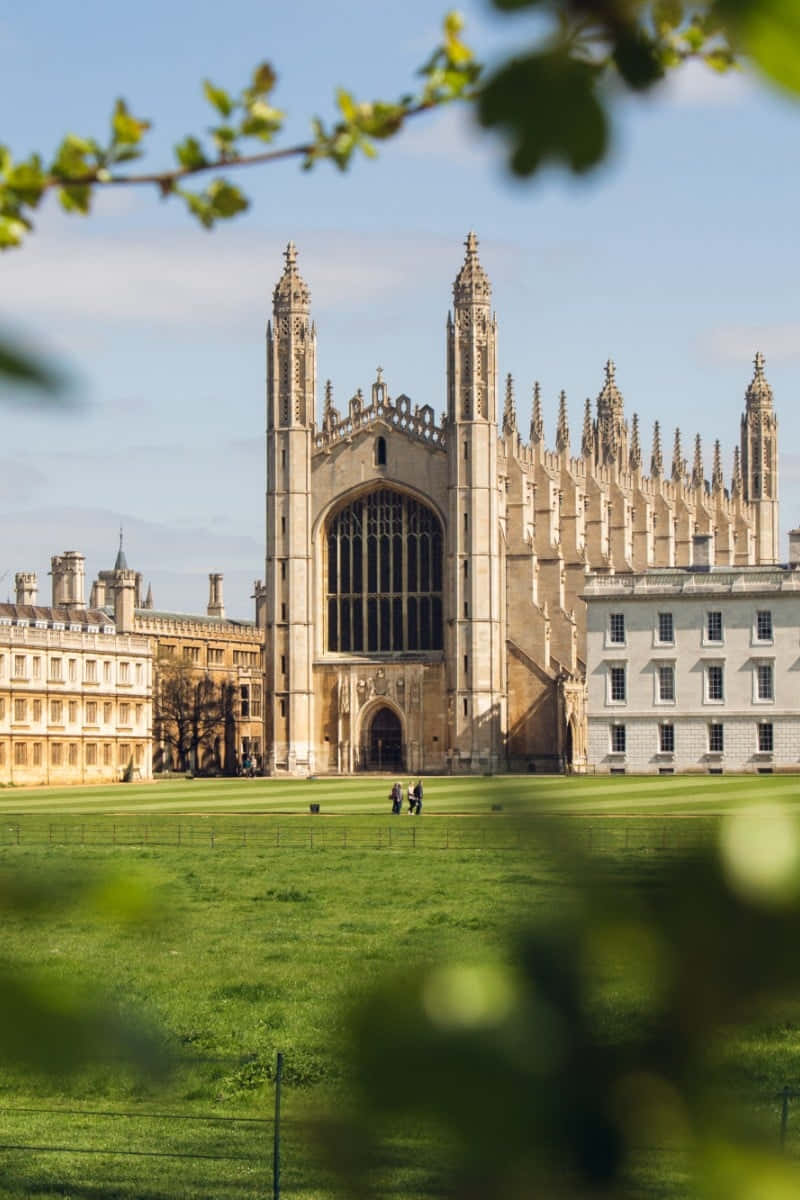 Cambridge University With Leaves Portrait Background