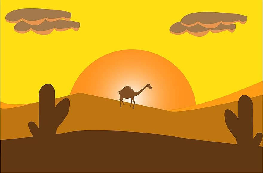 Camel Art Desert Sun Background